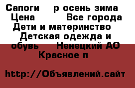 Сапоги 35 р.осень-зима  › Цена ­ 700 - Все города Дети и материнство » Детская одежда и обувь   . Ненецкий АО,Красное п.